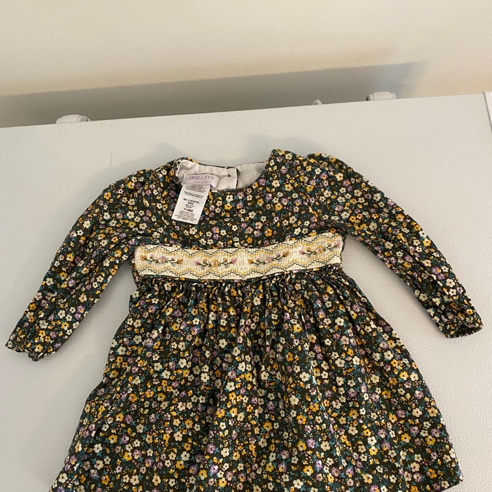 Iris & Ivy Multicolor Floral Long Sleeve Dress